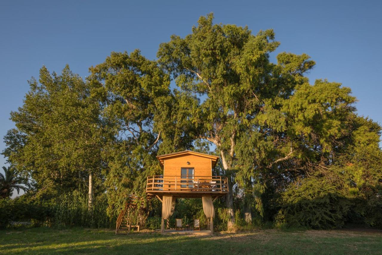 River Treehouse Лаганас Екстер'єр фото